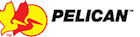 pelican